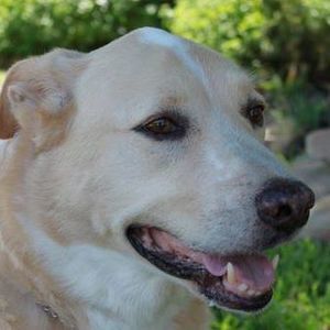 Meet your Posher, Jane