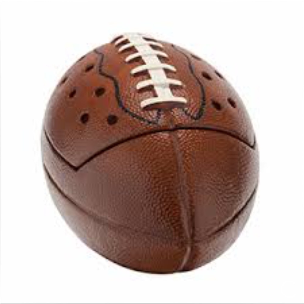 SCENTSY "Touchdown" warmer