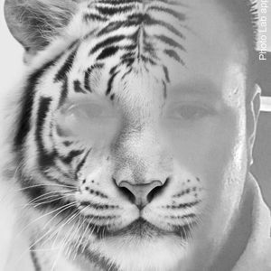 Meet your Posher, Coco