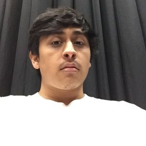 Meet your Posher, Leonardo