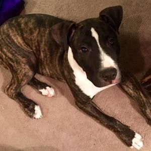 Meet your Posher, Shane king