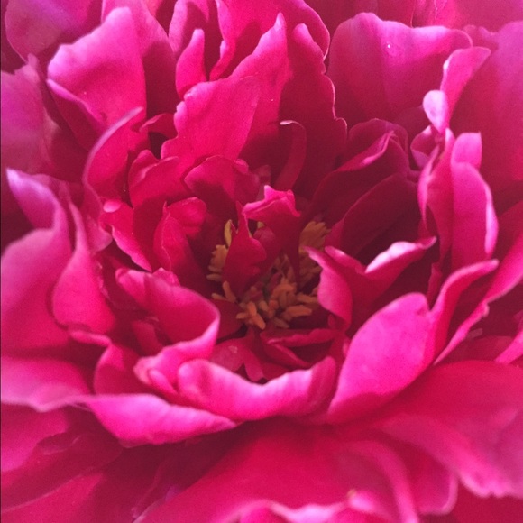 Meet your Posher, Tatyana - Picture 1 of 1