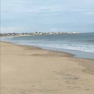 Meet your Posher, Sally