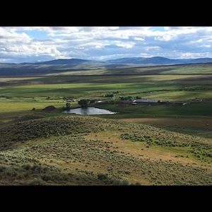 Meet your Posher, Alysha