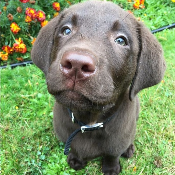 Meet your Posher, Makenna