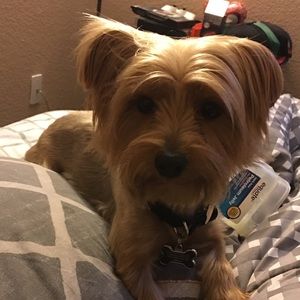 Meet your Posher, Aaron