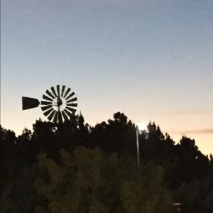 Meet your Posher, Joann