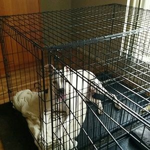 Meet your Posher, Carmen