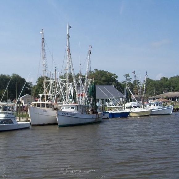 Meet your Posher, Jimmy - Picture 1 of 1