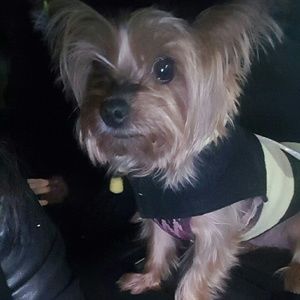 Meet your Posher, Karen