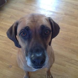 Meet your Posher, Ronda