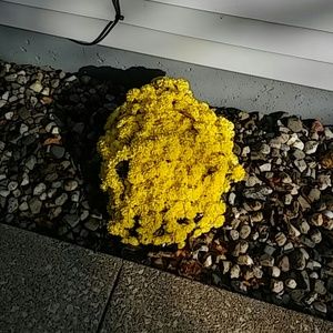 Meet your Posher, Aisha