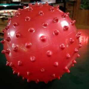 Meet your Posher, Jasmine