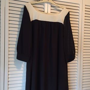 Chiffon Shift dress with sheer sleeves bnwot