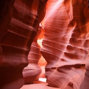 Meet your Posher, Ming