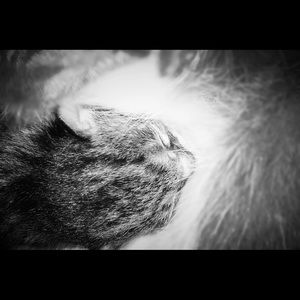 Meet your Posher, Brookel