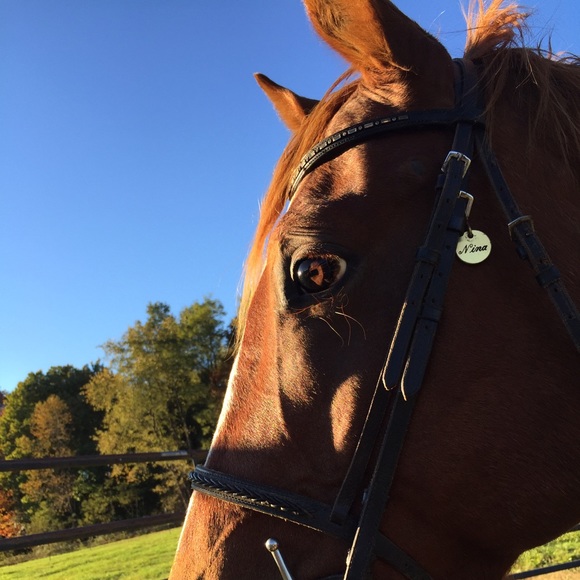 Meet your Posher, Chelsea - Picture 1 of 1