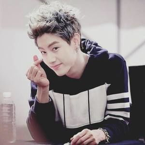 Meet your Posher, Jenny