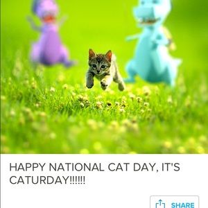 Meet your Posher, Avery