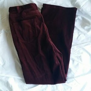 Velvet Oxblood Pant
