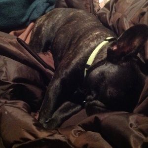 Meet your Posher, Josh