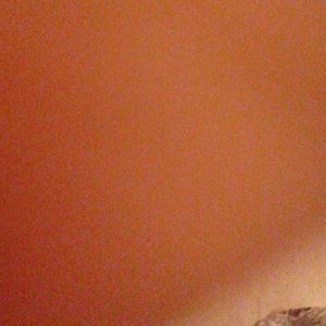 Meet your Posher, Lashante