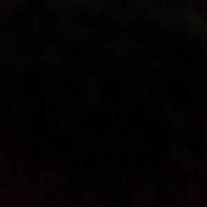 Meet your Posher, Shayleen