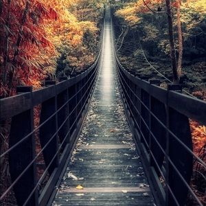 Meet your Posher, Faizan