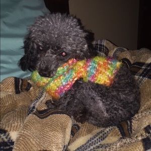 Meet your Posher, Kali