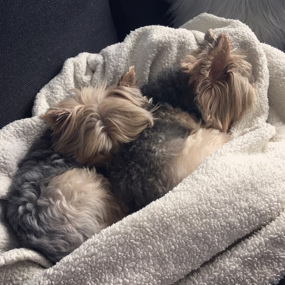 Meet your Posher, Liz - Picture 3 of 4