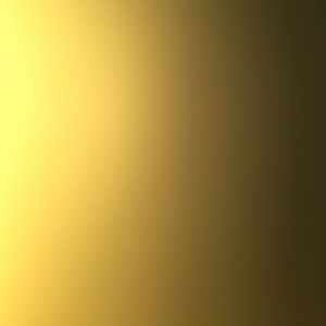 Meet your Posher, Adriana