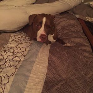 Meet your Posher, Mike