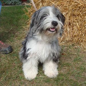 Meet your Posher, Dan