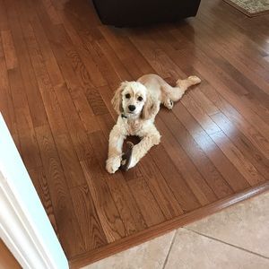 Meet your Posher, Holli