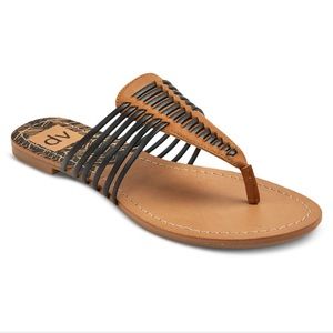 DV Black and Tan Sandals