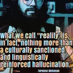 Meet your Posher, Hailey