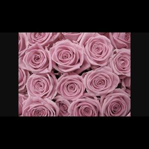 Meet your Posher, Haydee