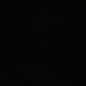 Meet your Posher, Shane