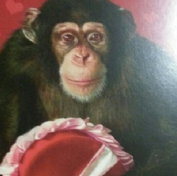 Meet your Posher, Cindy - Picture 1 of 1