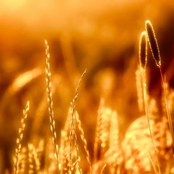 Meet your Posher, Jianfen