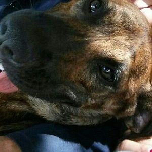 Meet your Posher, Jaime