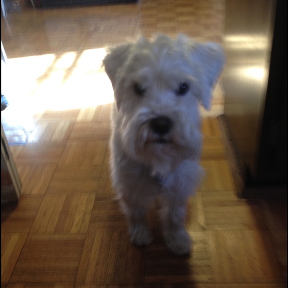 Meet your Posher, Debra