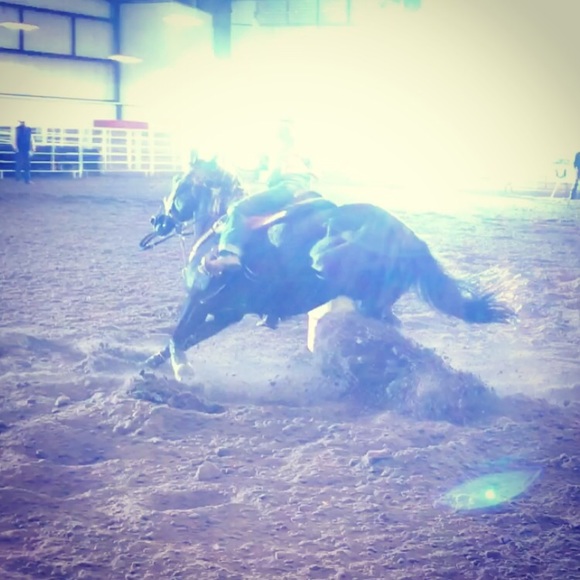 Meet your Posher, Dessie