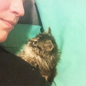 Meet your Posher, Lara