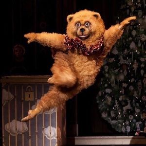 Meet your Posher, Cecelia