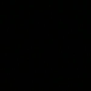 Meet your Posher, Wilfredo