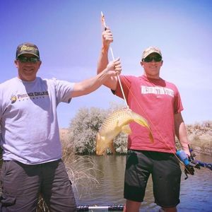 Meet your Posher, Troy