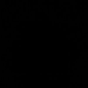 Meet your Posher, Eshon