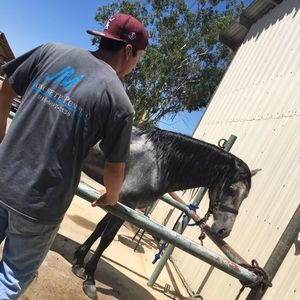 Meet your Posher, Omar