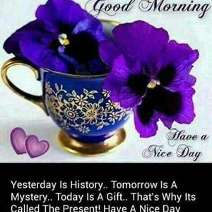 Meet your Posher, Ana